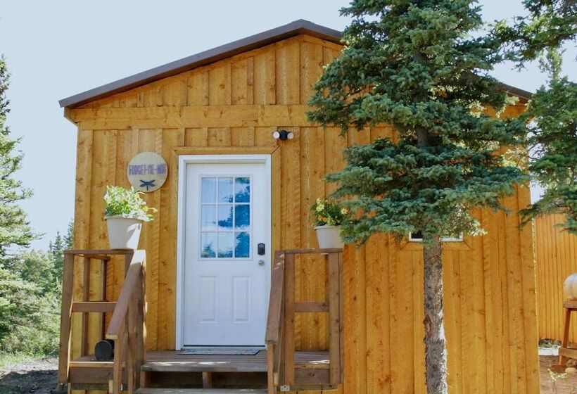 Arctic Dragonfly Inn