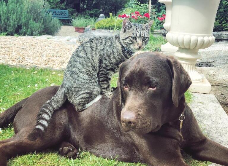 住宿加早餐 Manoir Des Cavaliers Bnb