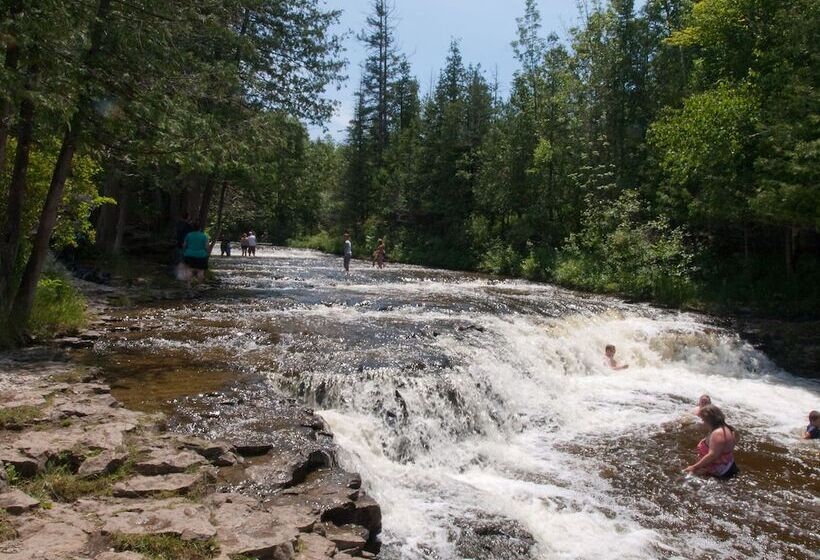 住宿加早餐  The Purple Martin Lakeside Inn Bird Sanctuary On Lake Huron