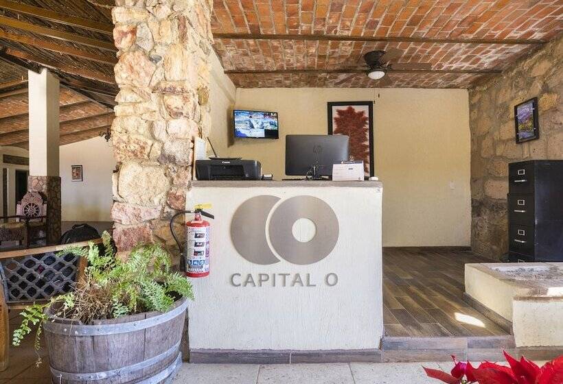 Capital O Hotel Posada Terraza, Guadalajara
