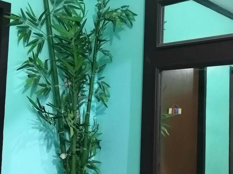 Colors Boutique Hostel