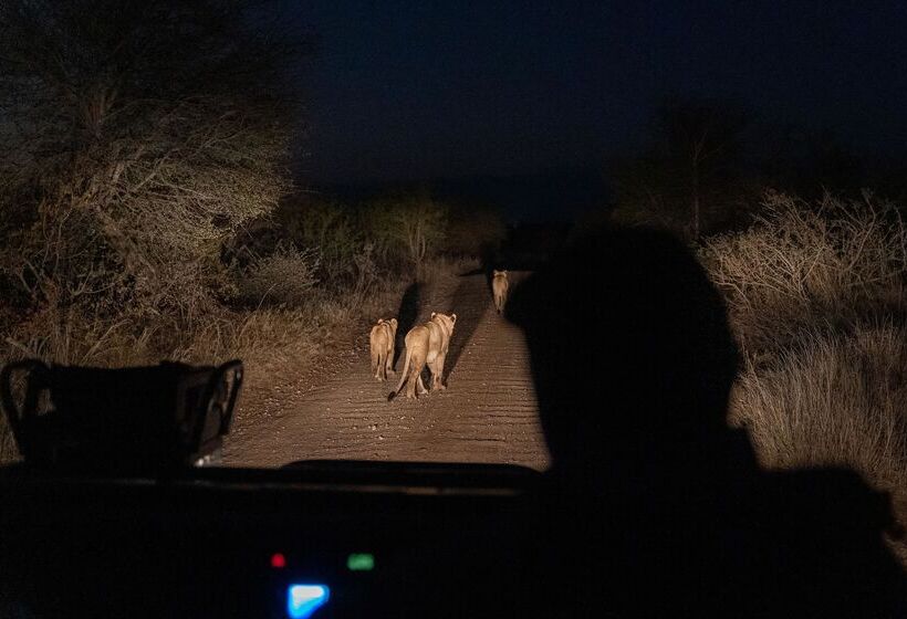 ホテル Amani Safari Camp