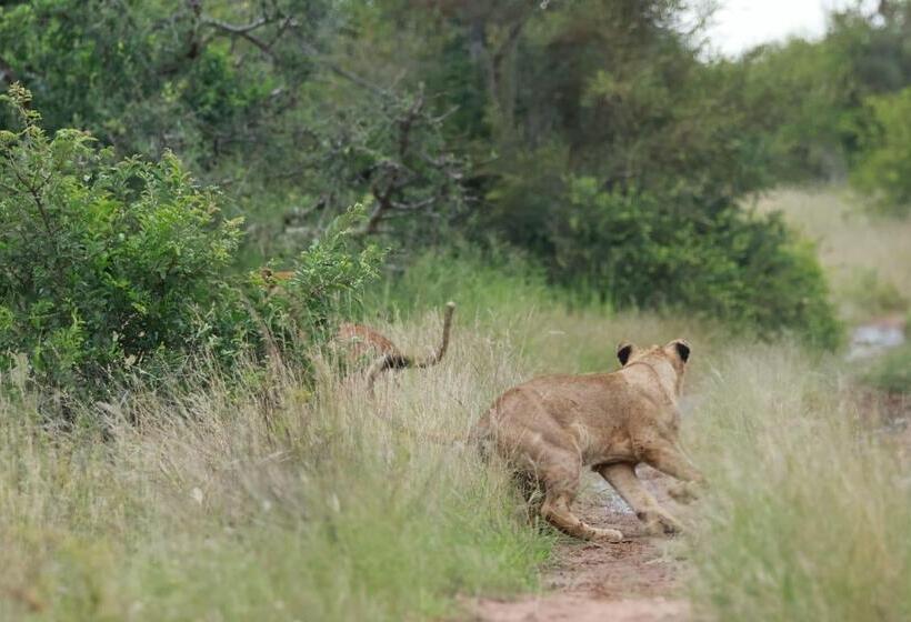 ホテル Amani Safari Camp