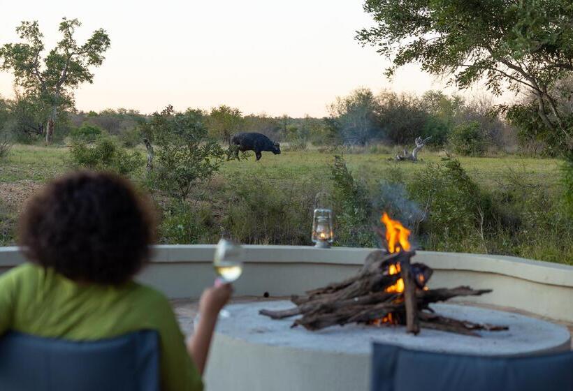 ホテル Amani Safari Camp