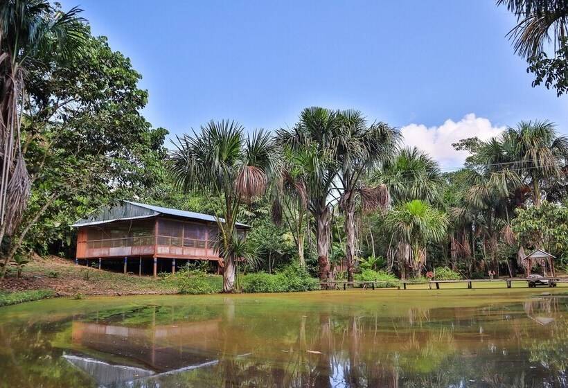 فندق Amazon Canopy Expeditions Ecolodge