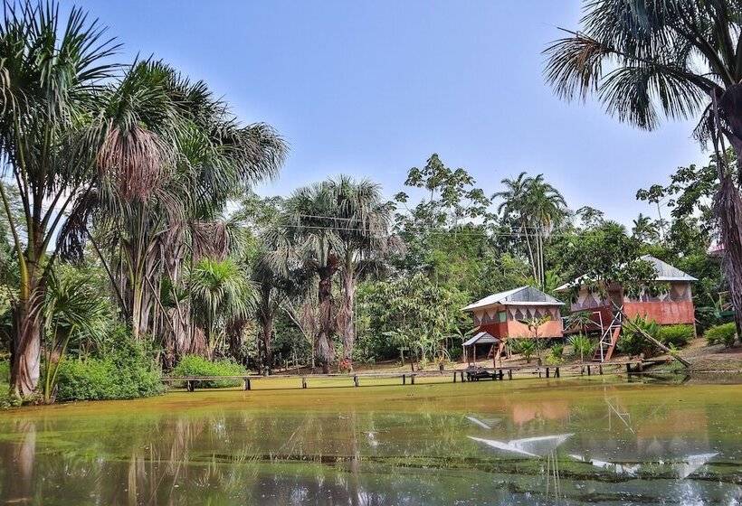 فندق Amazon Canopy Expeditions Ecolodge