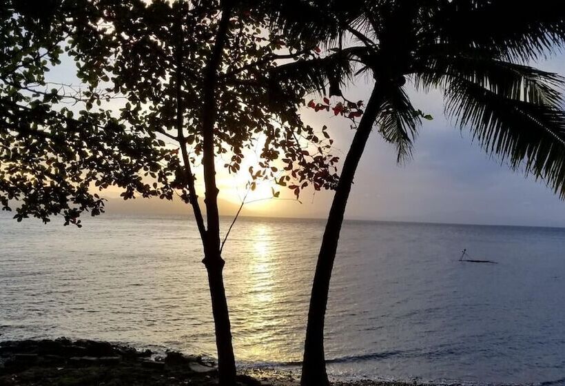 هتل Aundanao Oasis Beach