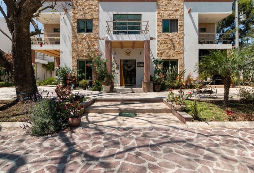 Capital O Hotel Vitalé