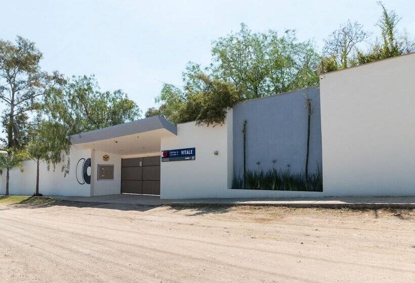 Capital O Hotel Vitalé