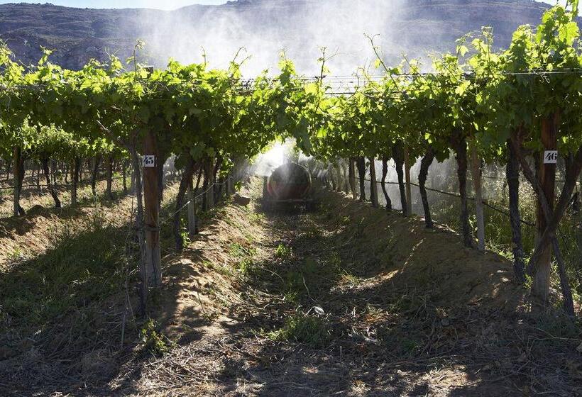 호텔 Simbavati Cederberg Ridge