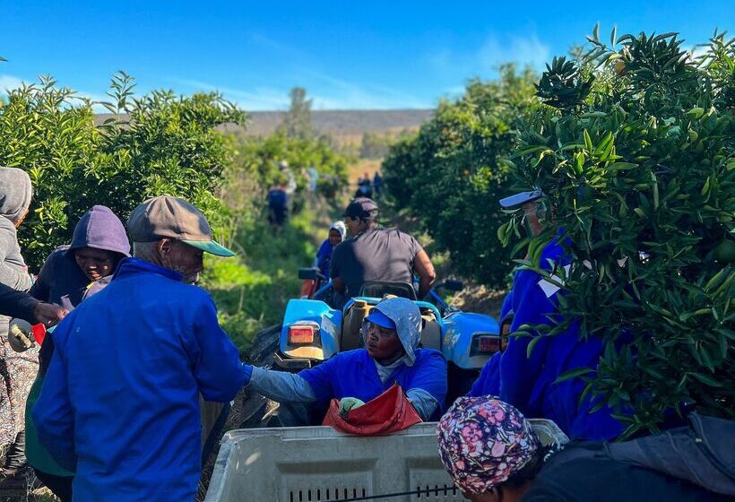 호텔 Simbavati Cederberg Ridge