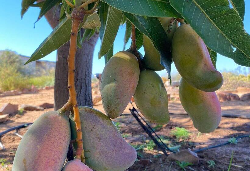 호텔 Simbavati Cederberg Ridge