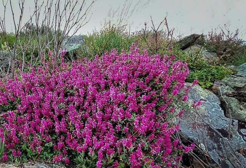 בית מלון כפרי Simbavati Cederberg Ridge