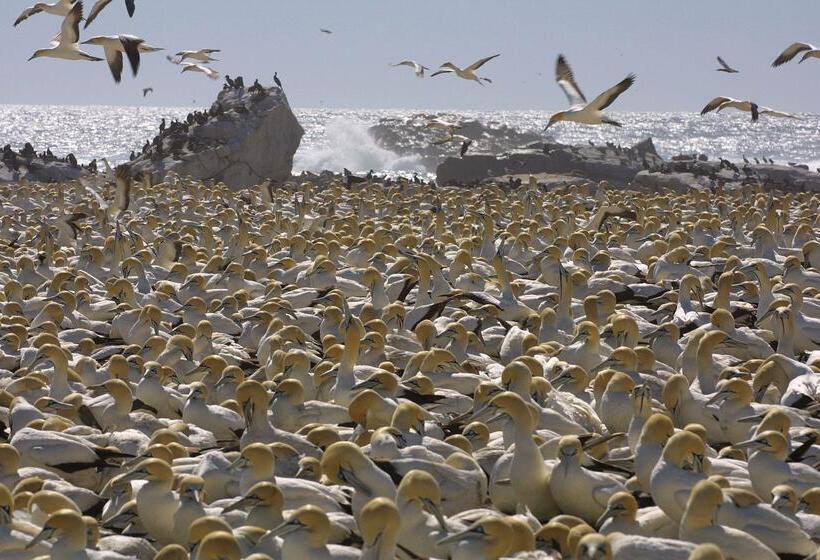 בית מלון כפרי Simbavati Cederberg Ridge