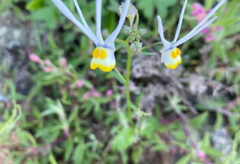 호텔 Simbavati Cederberg Ridge