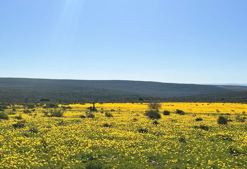 호텔 Simbavati Cederberg Ridge
