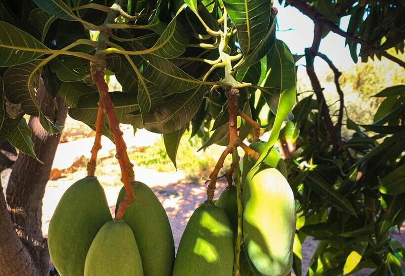 호텔 Simbavati Cederberg Ridge