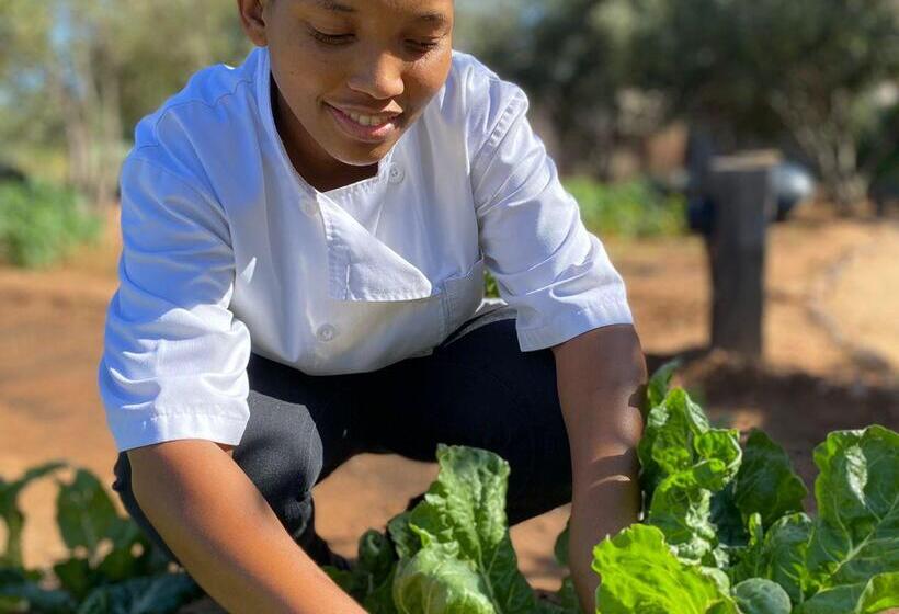 호텔 Simbavati Cederberg Ridge