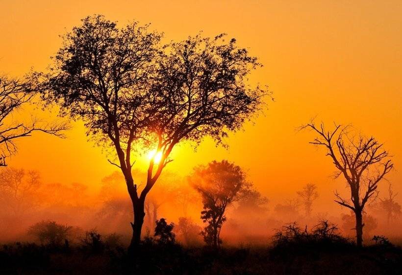 ホテル Inyati Game Lodge