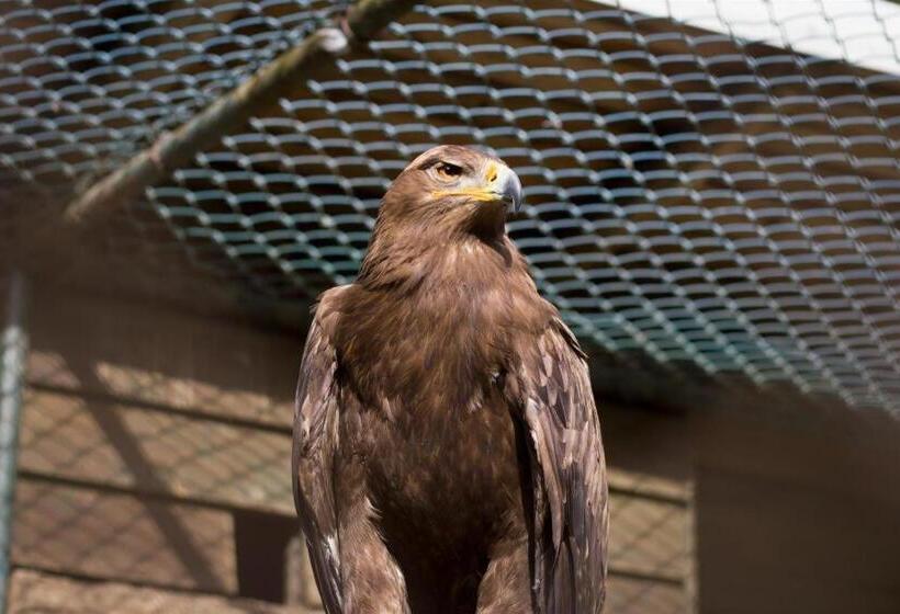 בית מלון כפרי Koregon