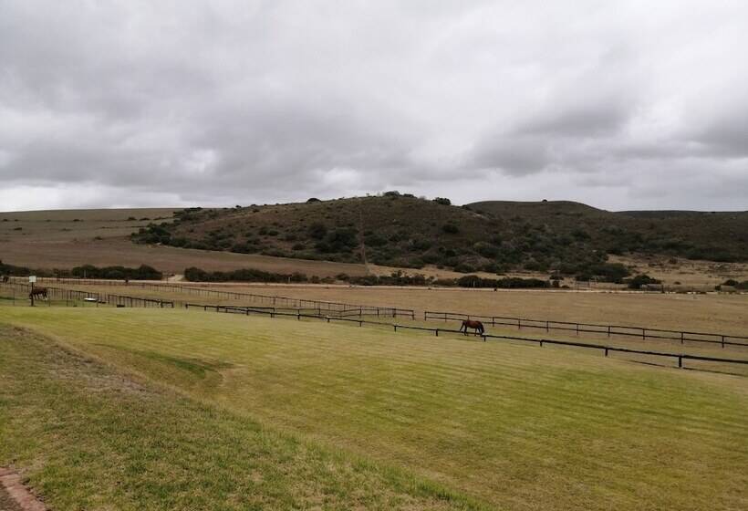 ホテル Outeniquabosch Lodge