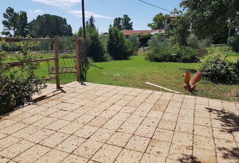 בית מלון כפרי Agriturismo Bio Fattoria Di Pietra