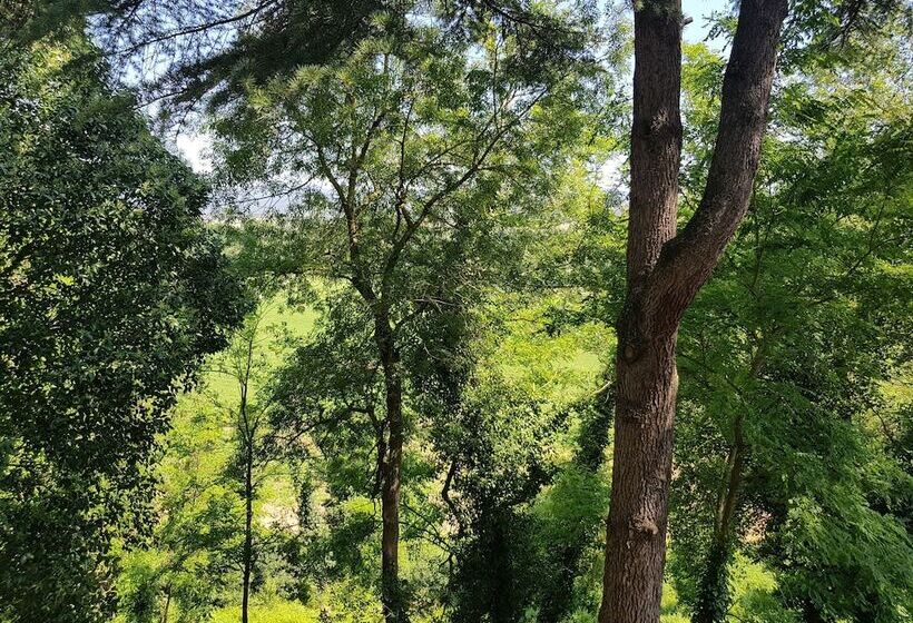 교외 호텔 Agriturismo Bio Fattoria Di Pietra