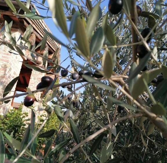 هتل روستایی Agriturismo Borgo Stella