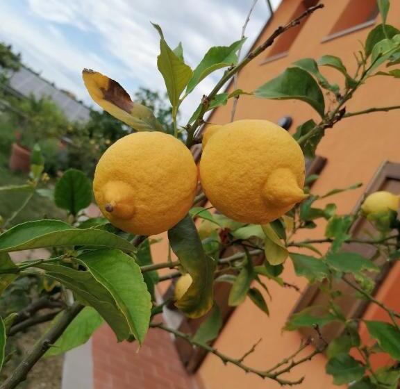 هتل روستایی Agriturismo Borgo Stella