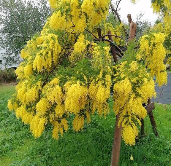 هتل روستایی Agriturismo Borgo Stella
