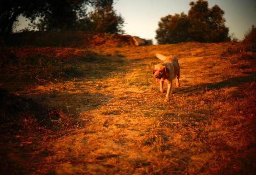 فندق ريفى Biovilla Sustentabilidade