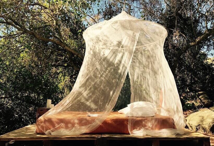 فندق ريفى Biovilla Sustentabilidade