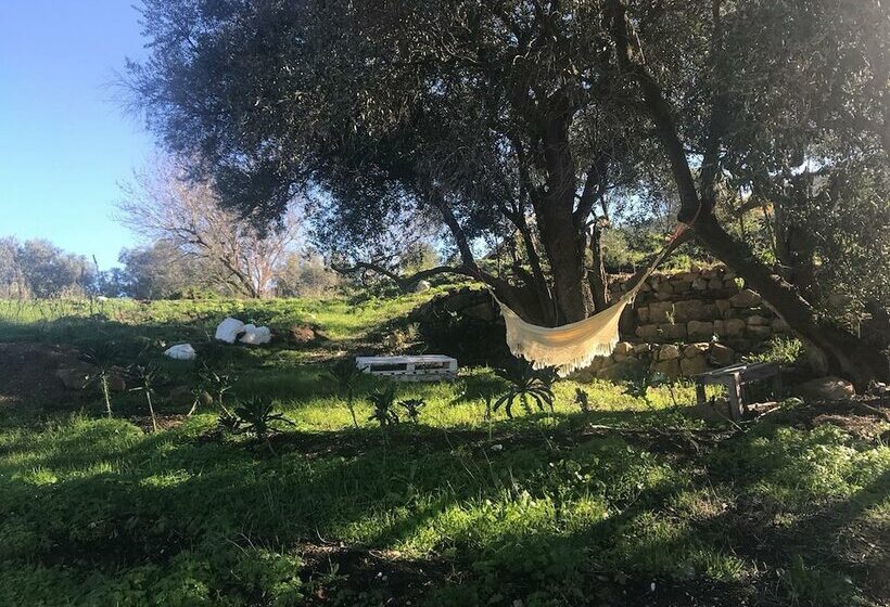 فندق ريفى Biovilla Sustentabilidade