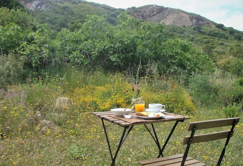 فندق ريفى Biovilla Sustentabilidade