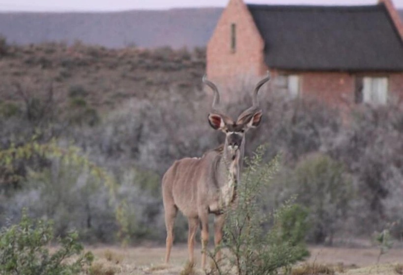 ホテル Teri Lemveli Lodge