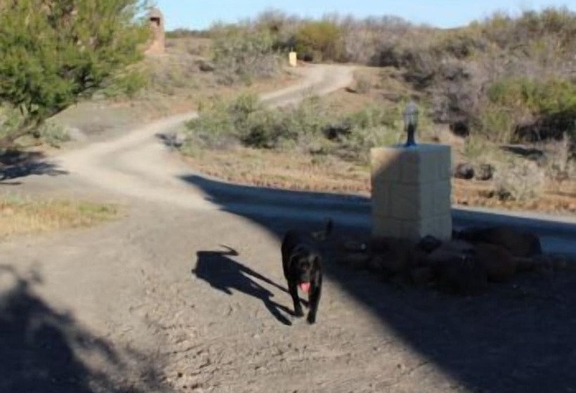 ホテル Teri Lemveli Lodge