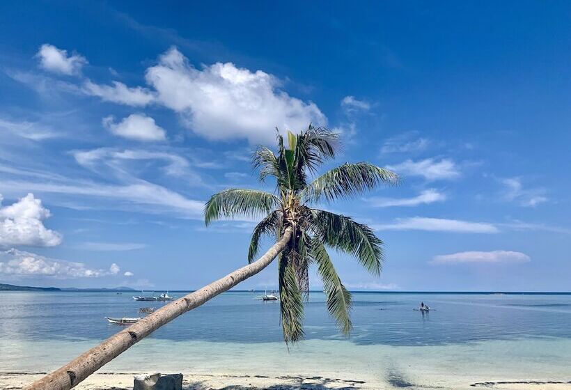 בית מלון כפרי The Orchids Resort Boracay