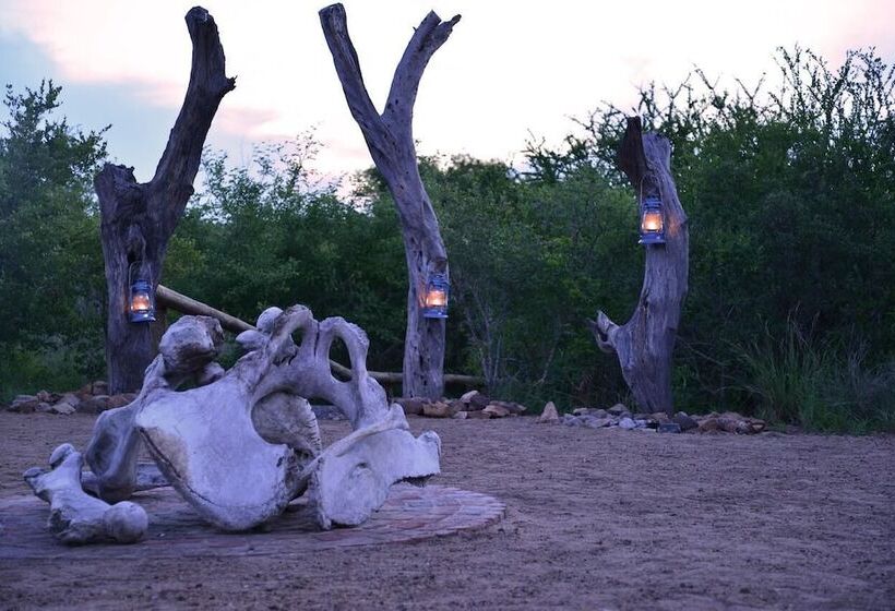 هتل Wild Olive Tree Camp