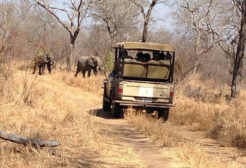 فندق Wild Olive Tree Camp