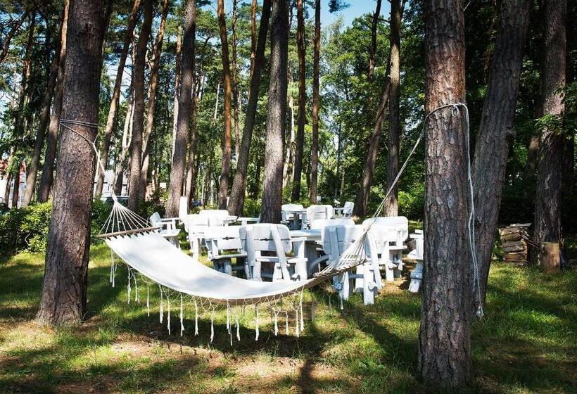 ホテル Willa Alexander Resort & Spa Caloroczny Kryty Basen