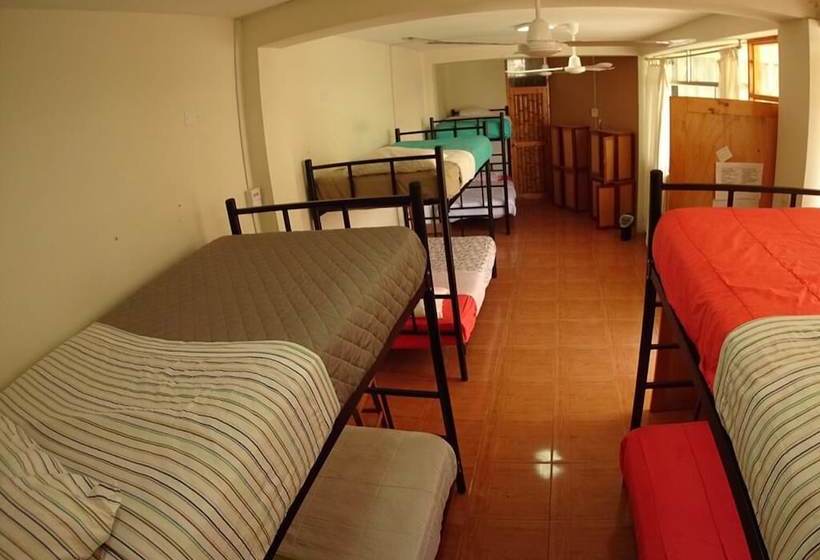 La Casa De Bamboo Hostel