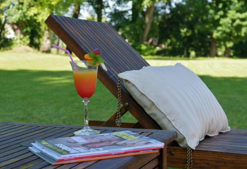 ペンション Apartamenty Willa W Dolinie