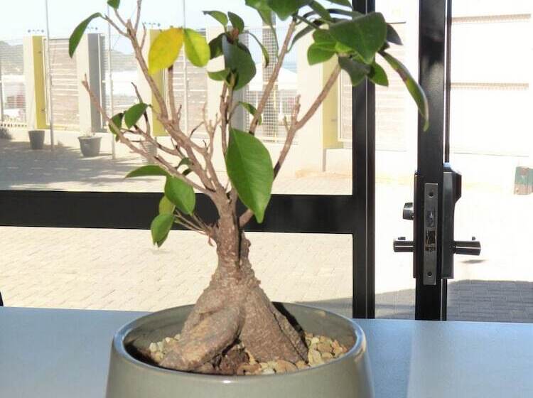 Пансион The Hampton Exclusive Guest House