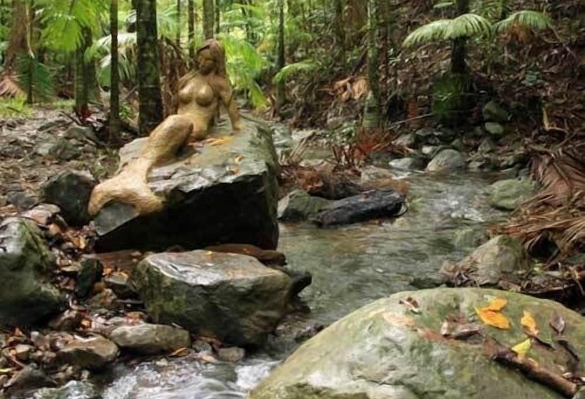 Rainforest Hideaway