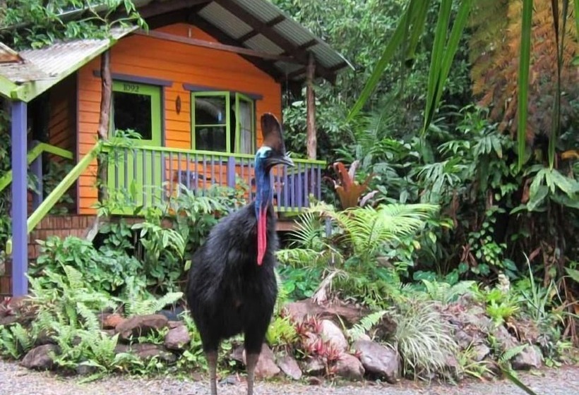 Rainforest Hideaway