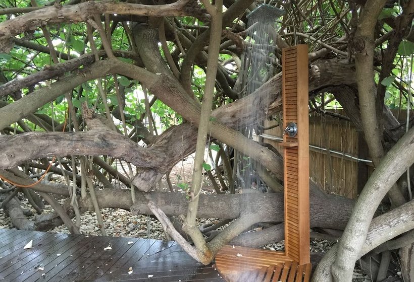 The Beachside Cottages