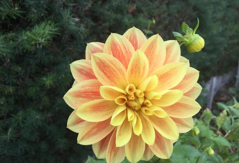 تختخواب و صبحانه Shakespeare House