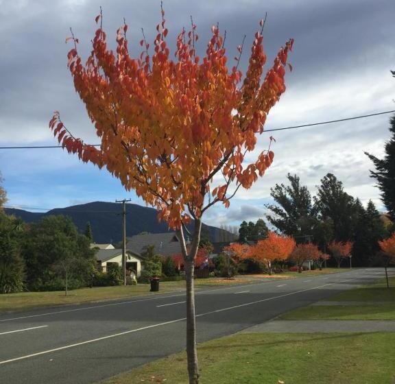 تختخواب و صبحانه Shakespeare House
