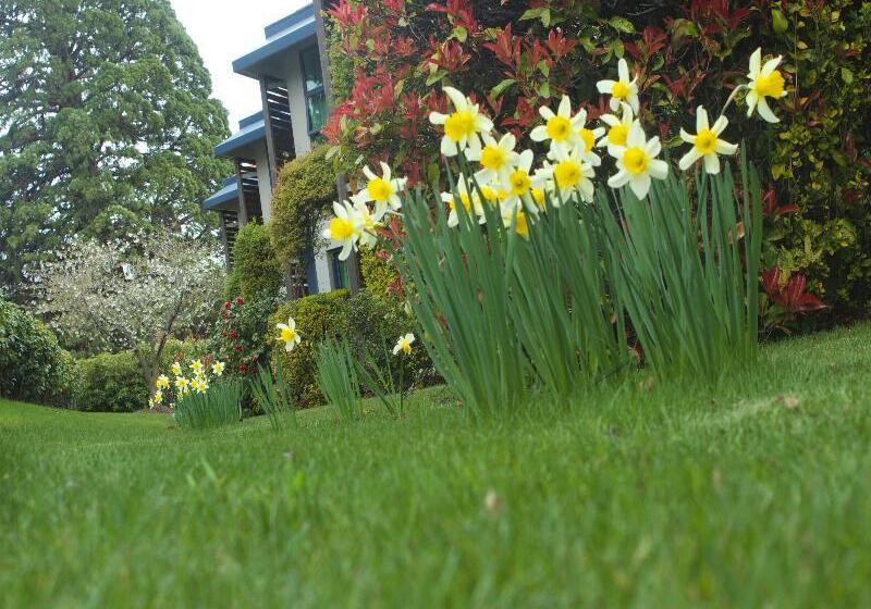 Отель Blue Peaks Lodge