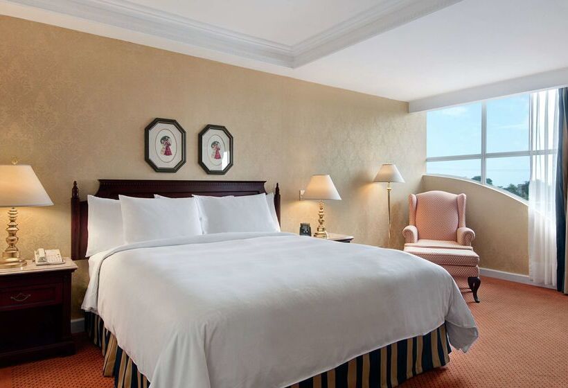 فندق Hilton Princess Managua